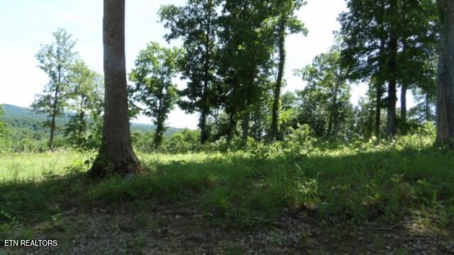 Lot 7e Rock Fish Lane Hilham TN 38568