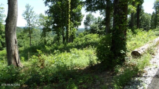 Lot 7e Rock Fish Lane Hilham TN 38568