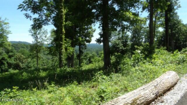 Lot 7e Rock Fish Lane Hilham TN 38568