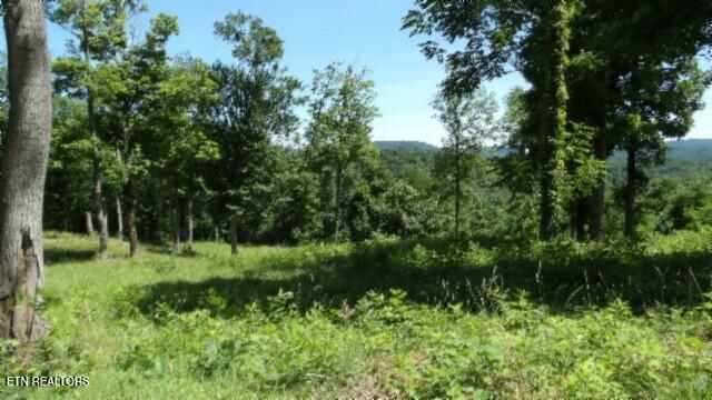 Lot 7e Rock Fish Lane Hilham TN 38568