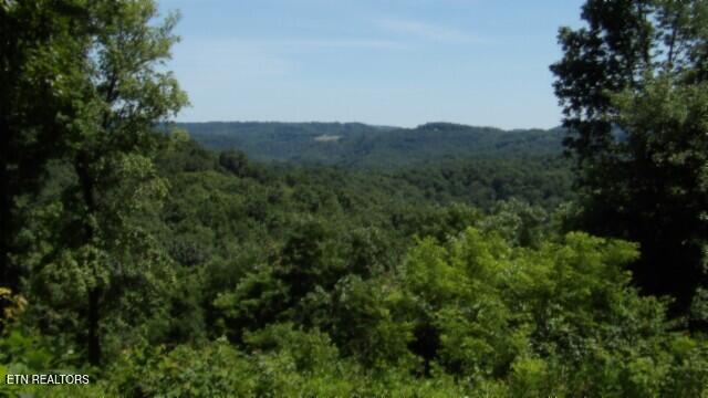 Lot 7e Rock Fish Lane Hilham TN 38568