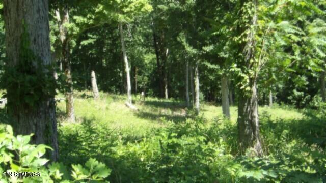 Lot 7e Rock Fish Lane Hilham TN 38568