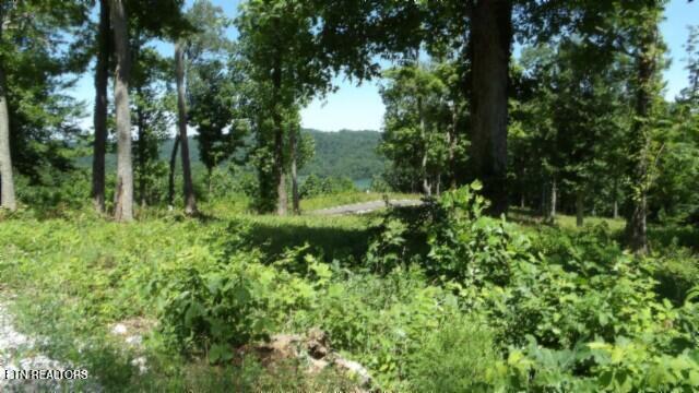 Lot 7e Rock Fish Lane Hilham TN 38568