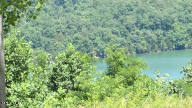 Lot 7e Rock Fish Lane Hilham TN 38568