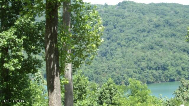 Lot 7e Rock Fish Lane Hilham TN 38568