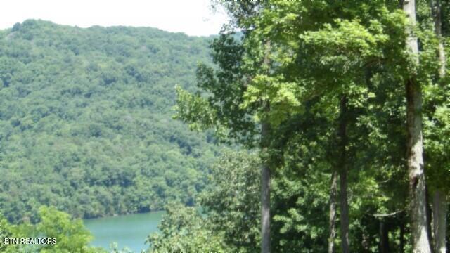 Lot 7e Rock Fish Lane Hilham TN 38568