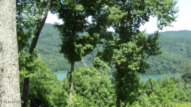 Lot 7e Rock Fish Lane Hilham TN 38568