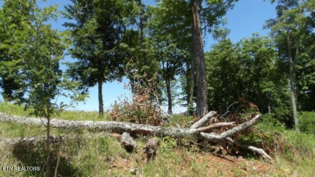 Lot 7e Rock Fish Lane Hilham TN 38568