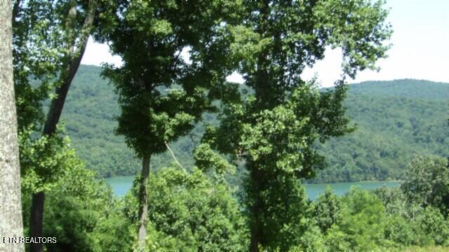 Lot 7e Rock Fish Lane Hilham TN 38568