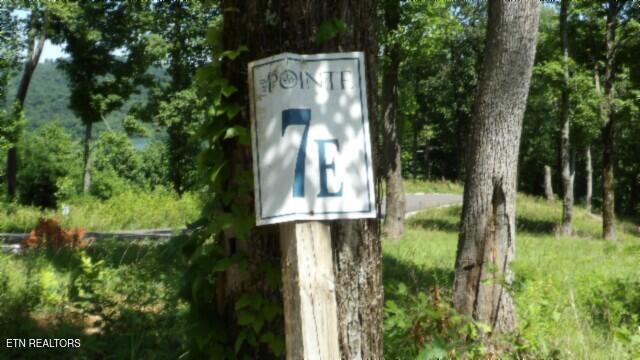 Lot 7e Rock Fish Lane Hilham TN 38568