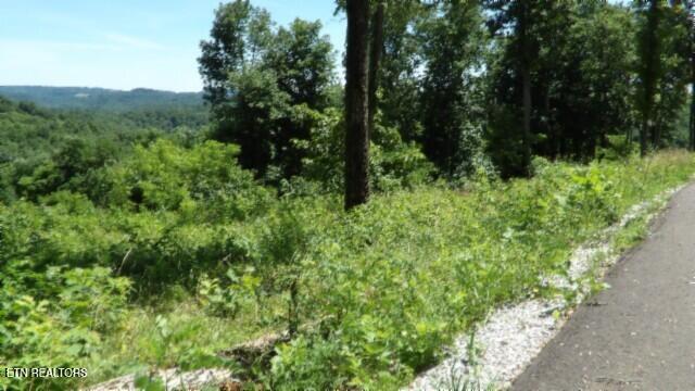 Lot 7e Rock Fish Lane Hilham TN 38568