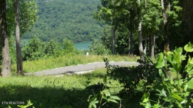 Lot 7e Rock Fish Lane Hilham TN 38568