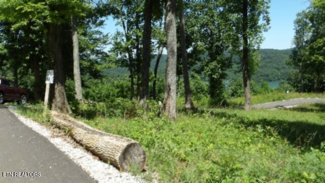 Lot 7e Rock Fish Lane Hilham TN 38568