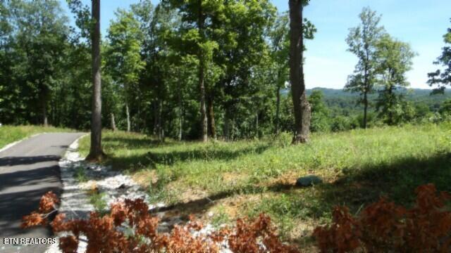 Lot 7e Rock Fish Lane Hilham TN 38568