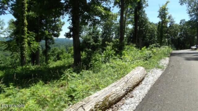 Lot 7e Rock Fish Lane Hilham TN 38568