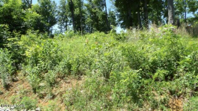 Lot 7e Rock Fish Lane Hilham TN 38568