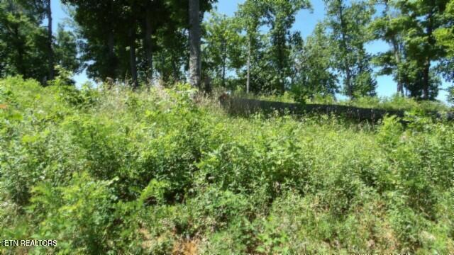 Lot 7e Rock Fish Lane Hilham TN 38568
