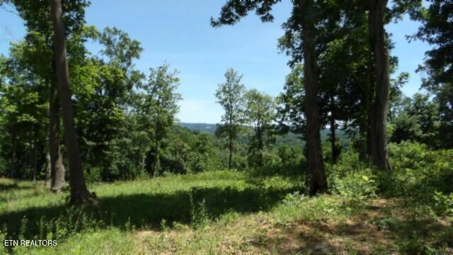 Lot 7e Rock Fish Lane Hilham TN 38568