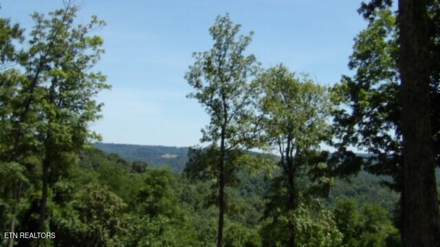 Lot 7e Rock Fish Lane Hilham TN 38568