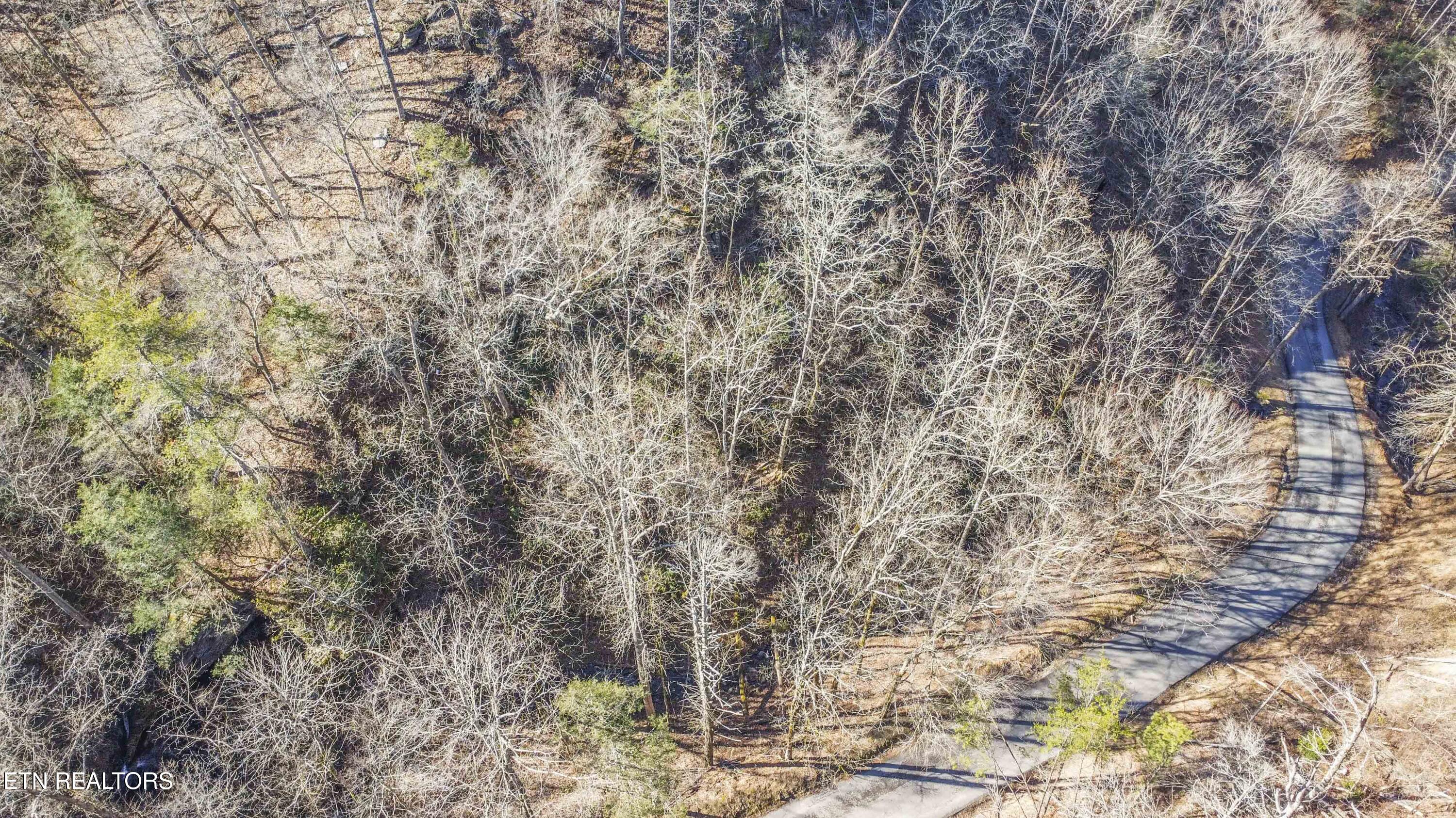 Stepping Stone Drive Sevierville TN 37862