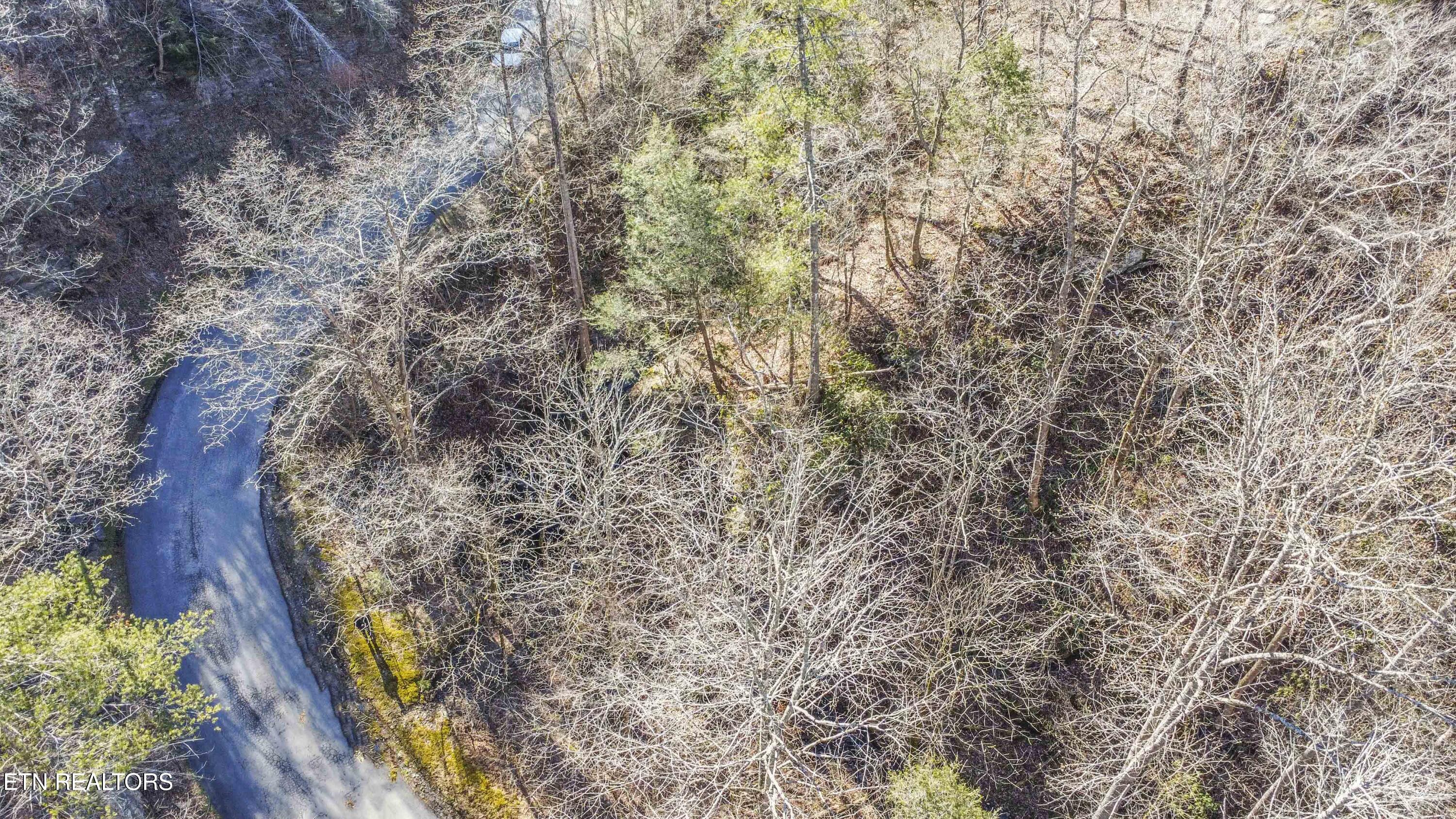 Stepping Stone Drive Sevierville TN 37862