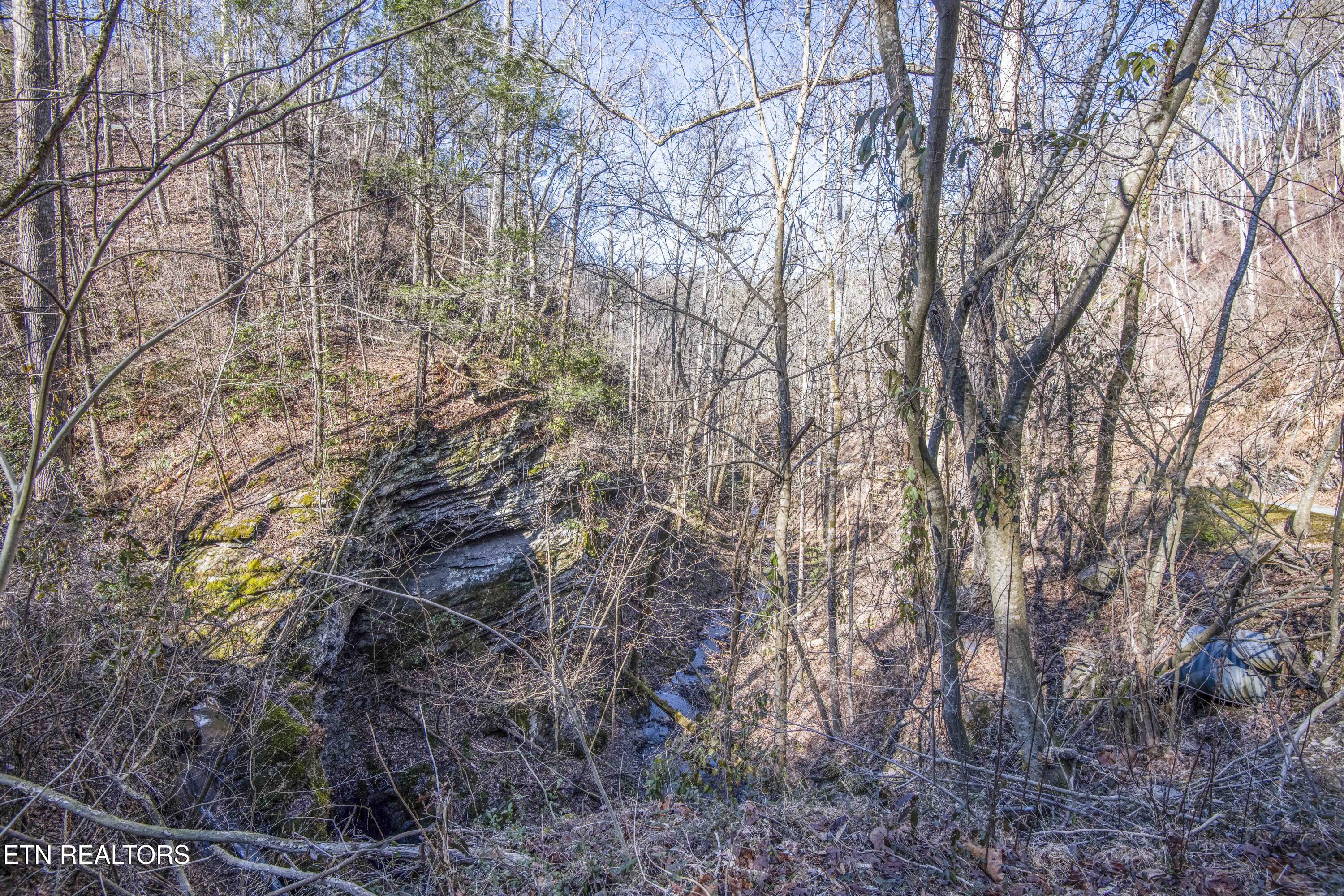 Stepping Stone Drive Sevierville TN 37862