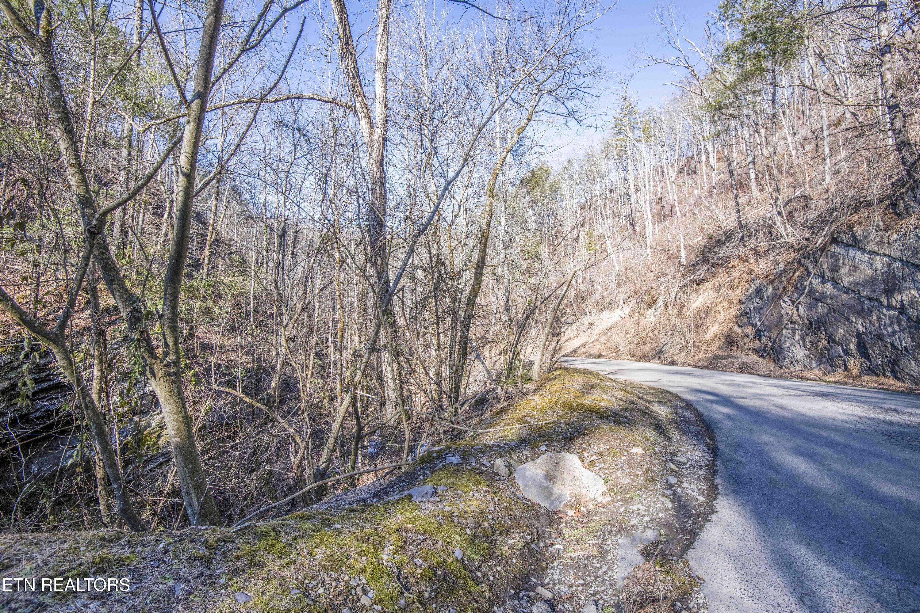Stepping Stone Drive Sevierville TN 37862