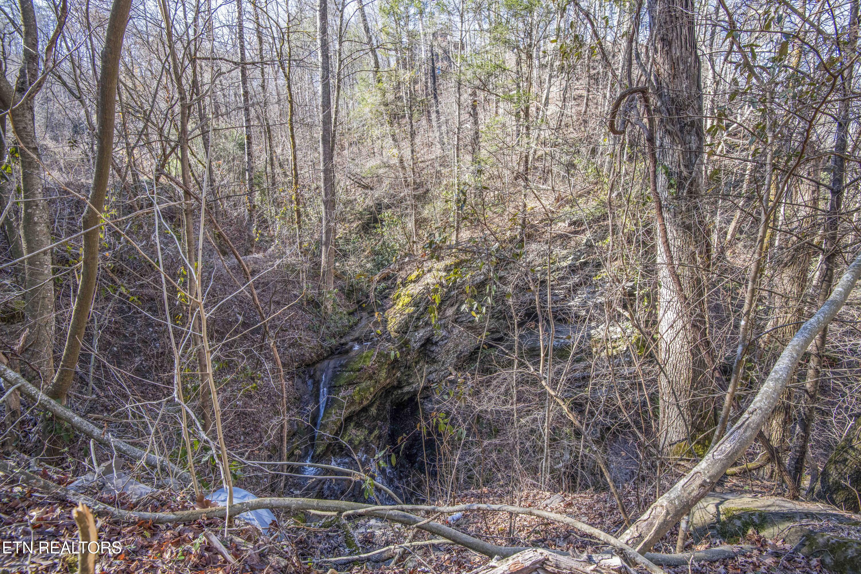 Stepping Stone Drive Sevierville TN 37862