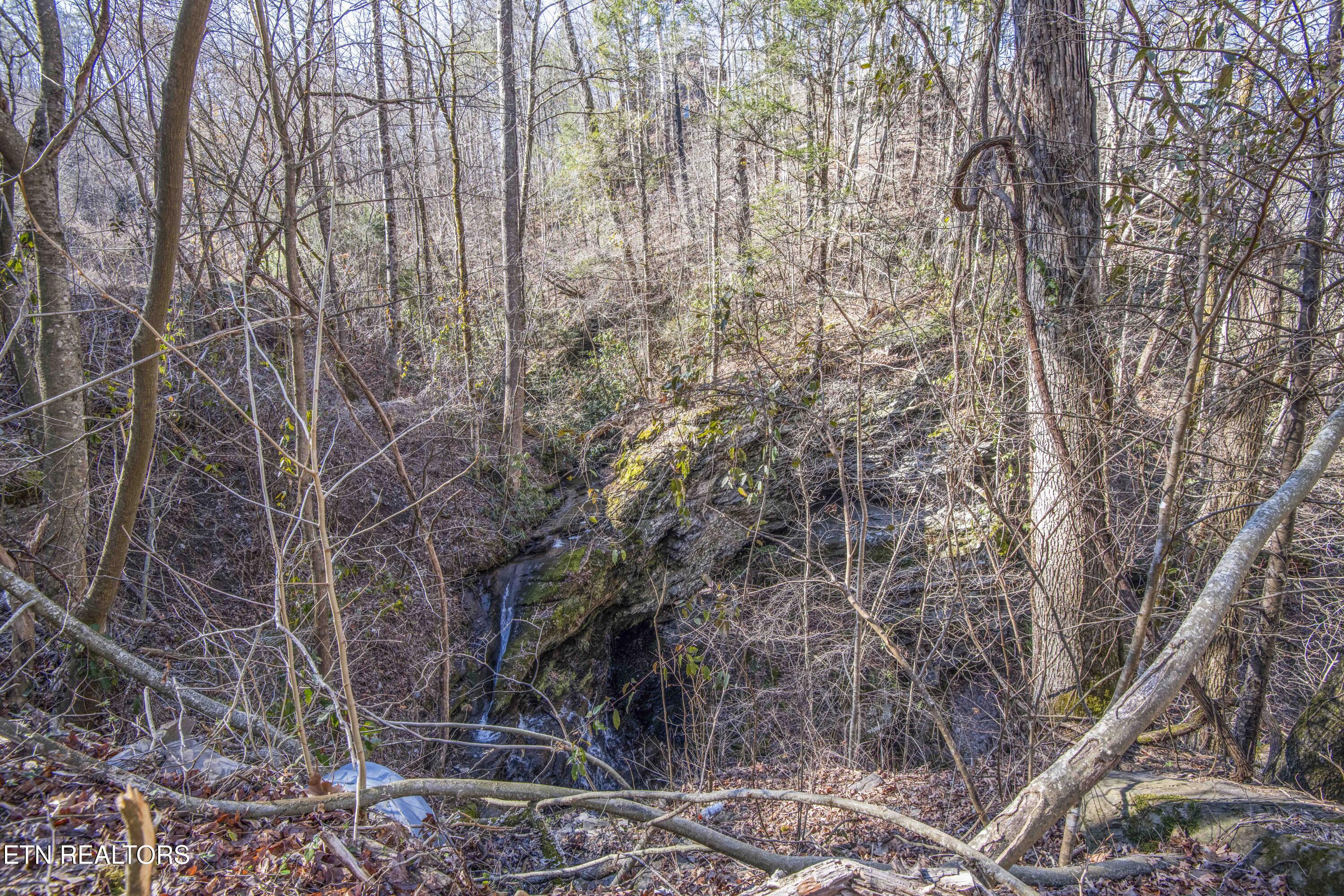 Stepping Stone Drive Sevierville TN 37862