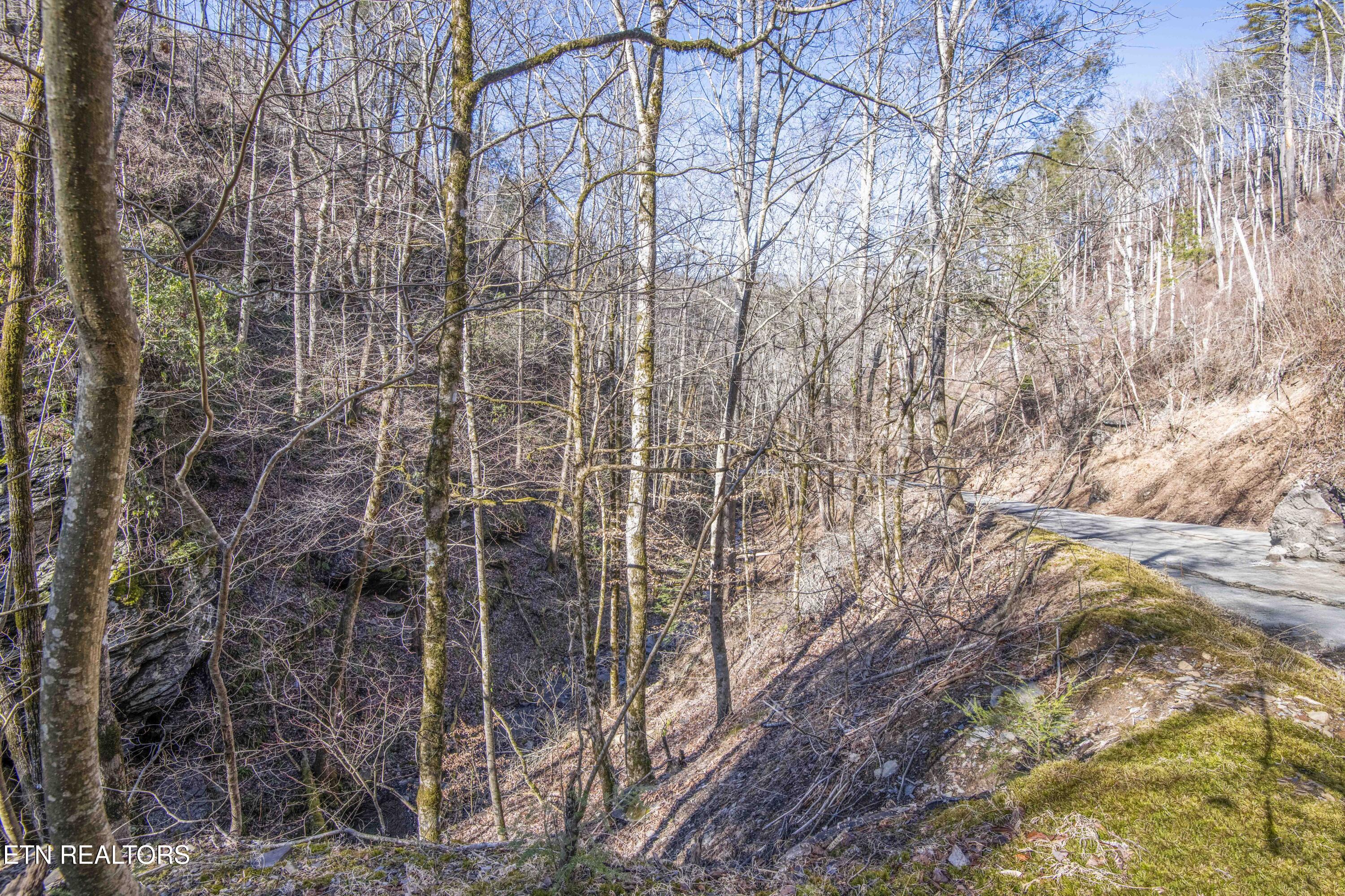 Stepping Stone Drive Sevierville TN 37862