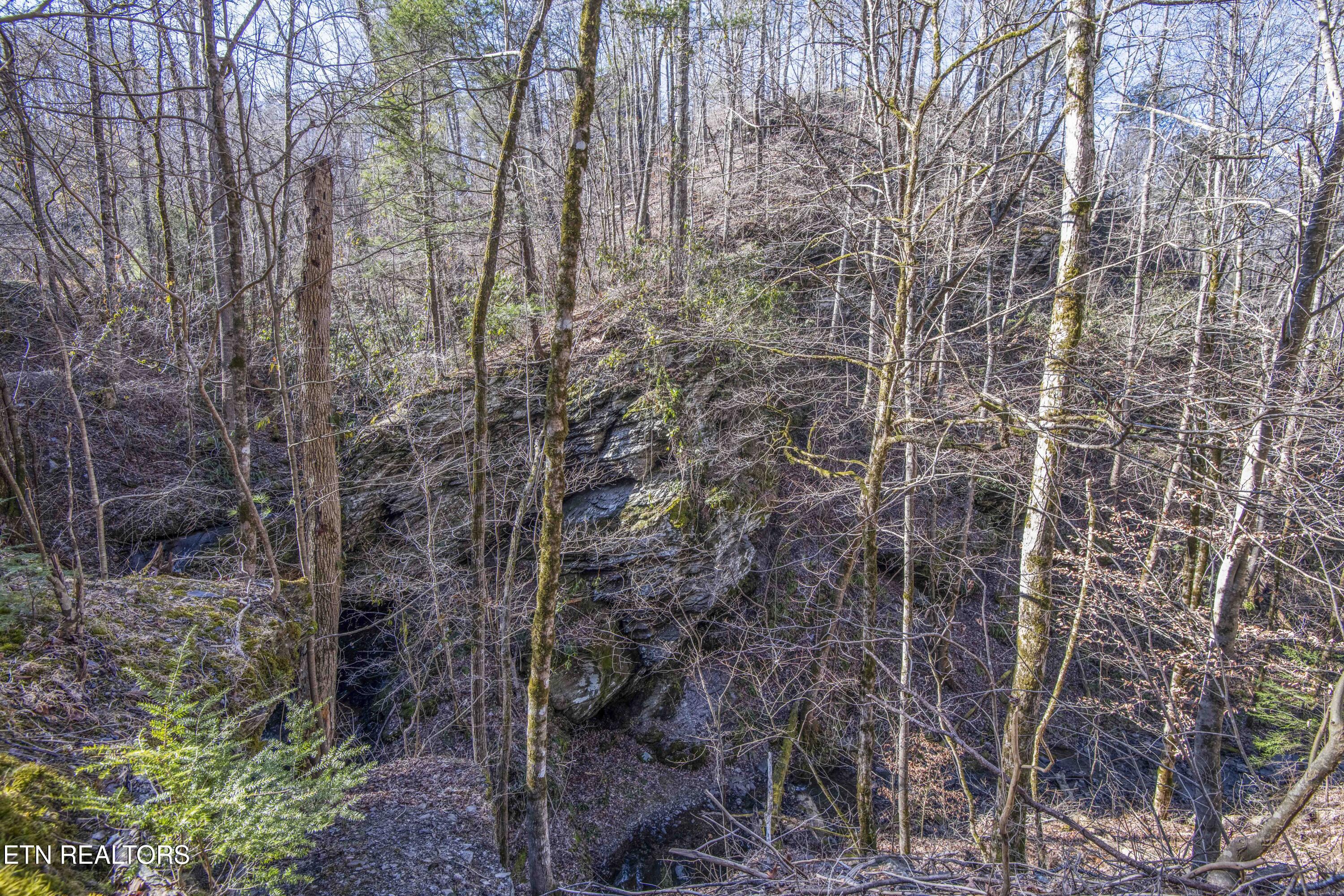 Stepping Stone Drive Sevierville TN 37862