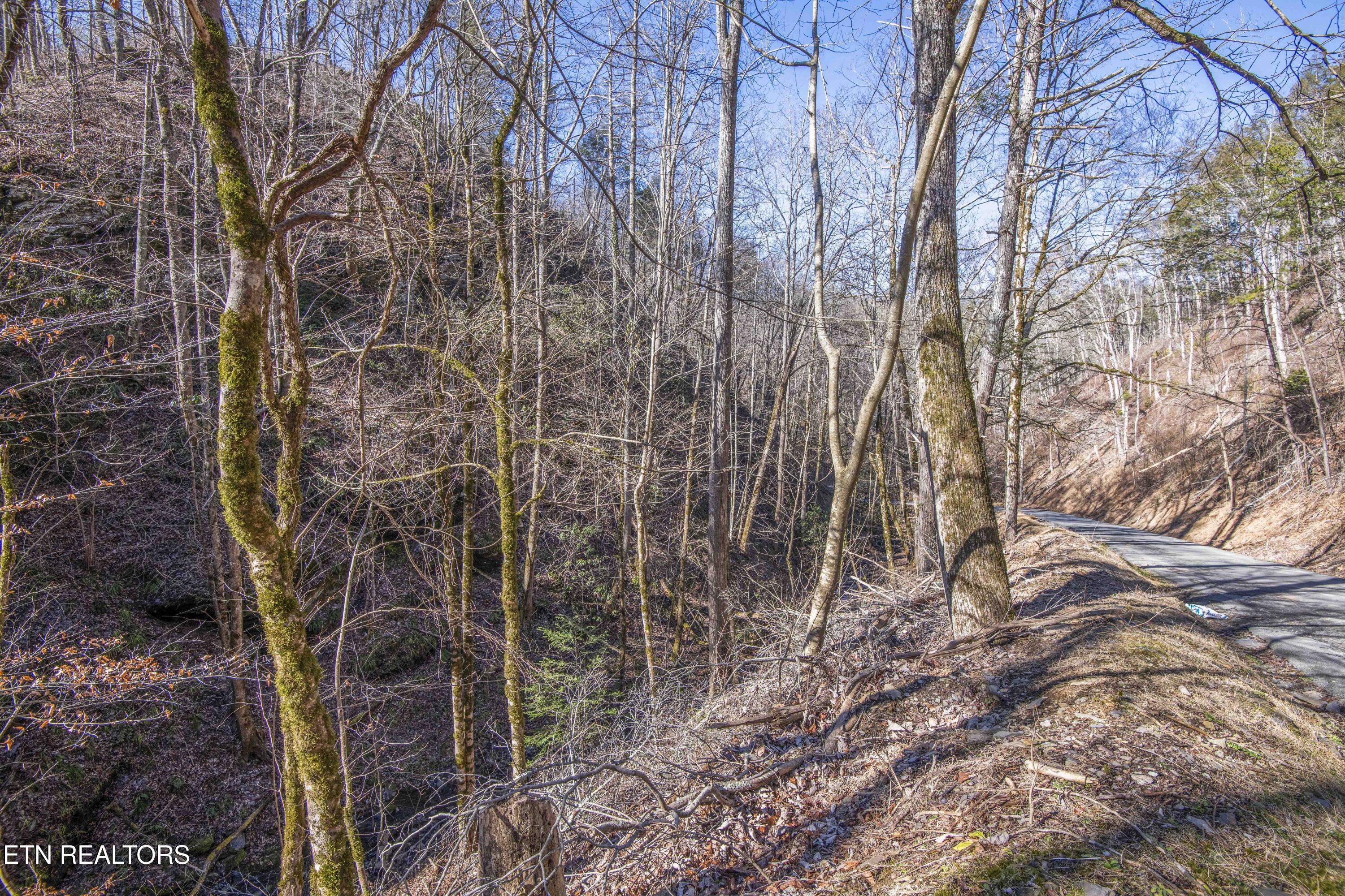 Stepping Stone Drive Sevierville TN 37862