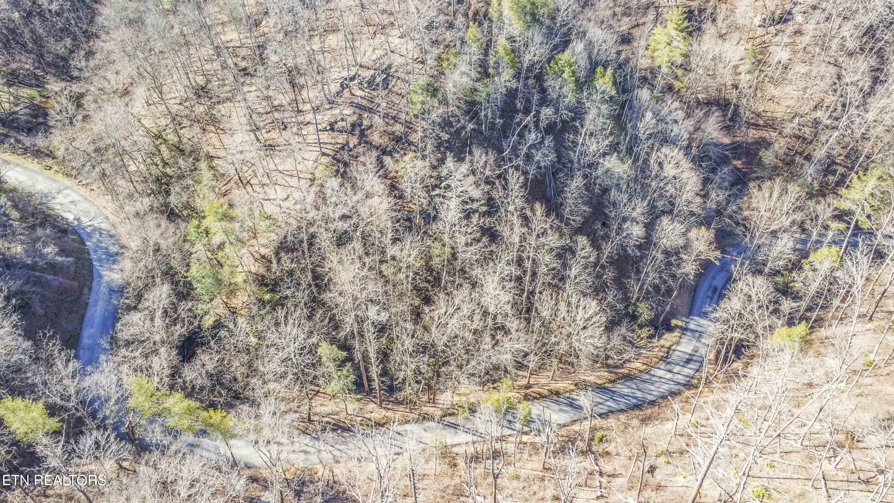 Stepping Stone Drive Sevierville TN 37862