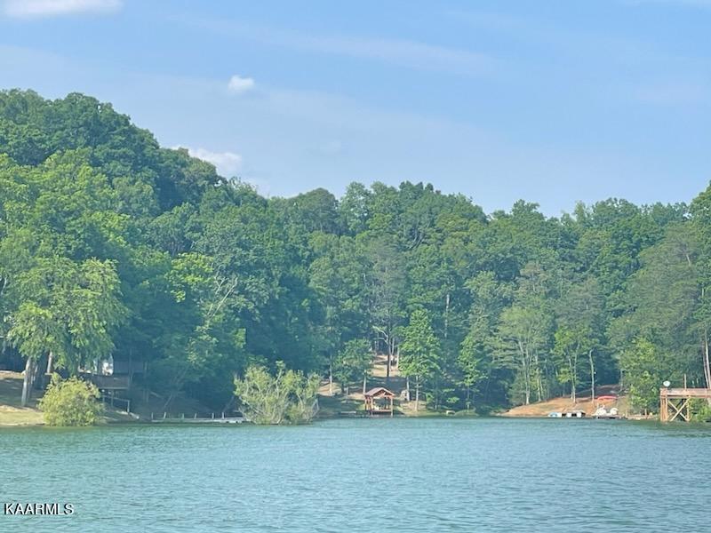 Lot 23 Beechwood Drive Dandridge TN 37725