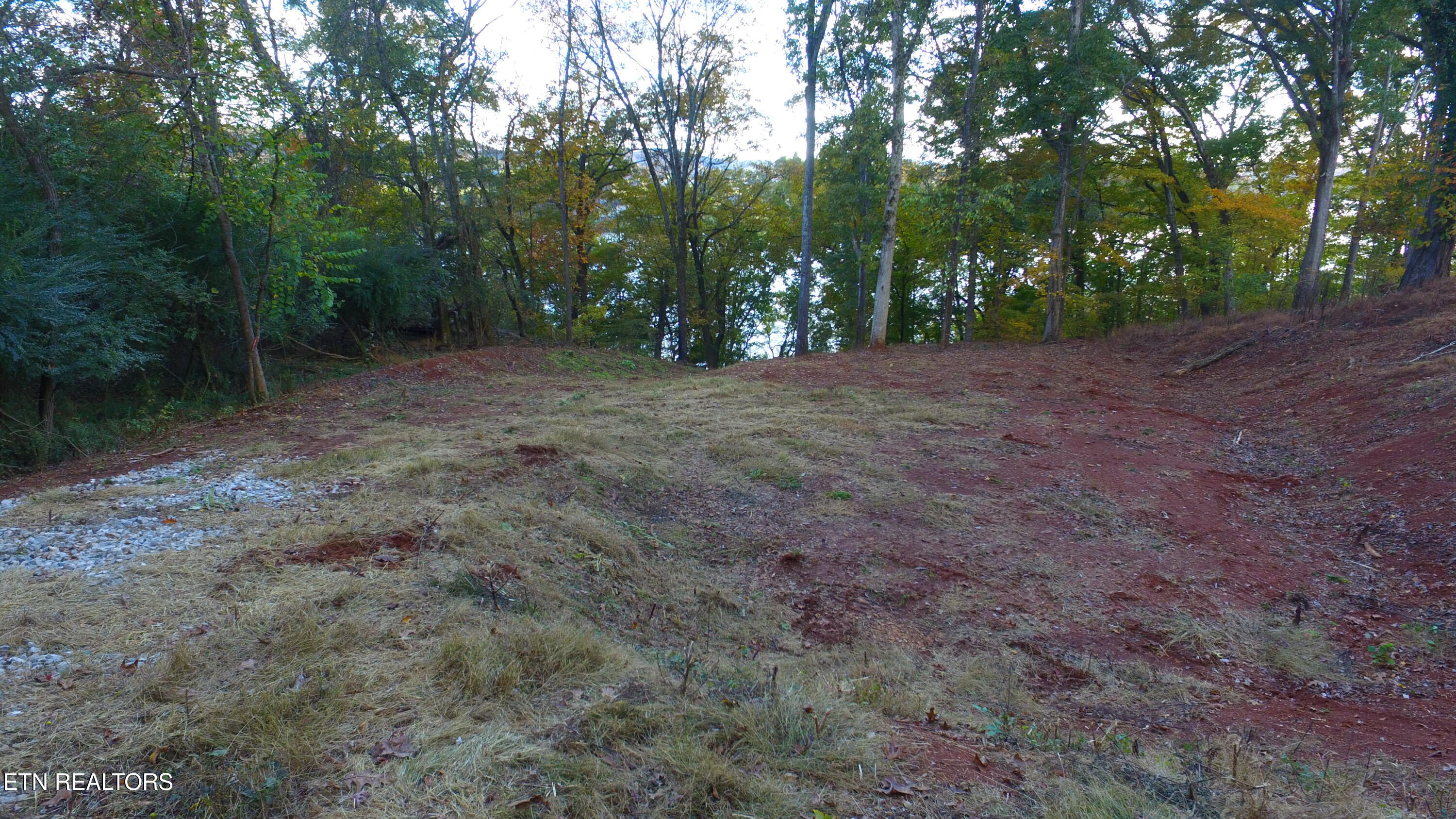 173 Cedar Grove Street Loudon TN 37774