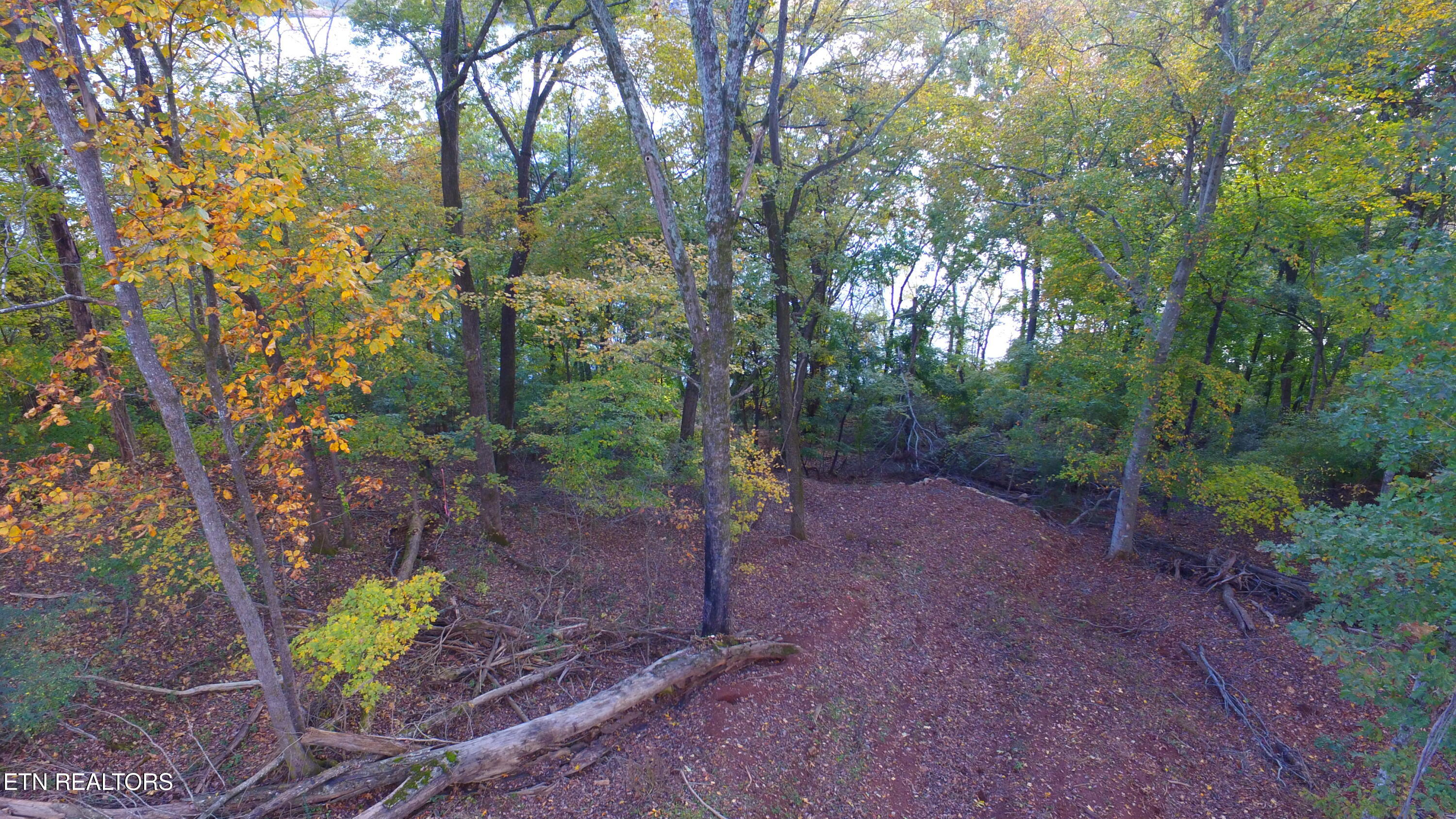 173 Cedar Grove Street Loudon TN 37774