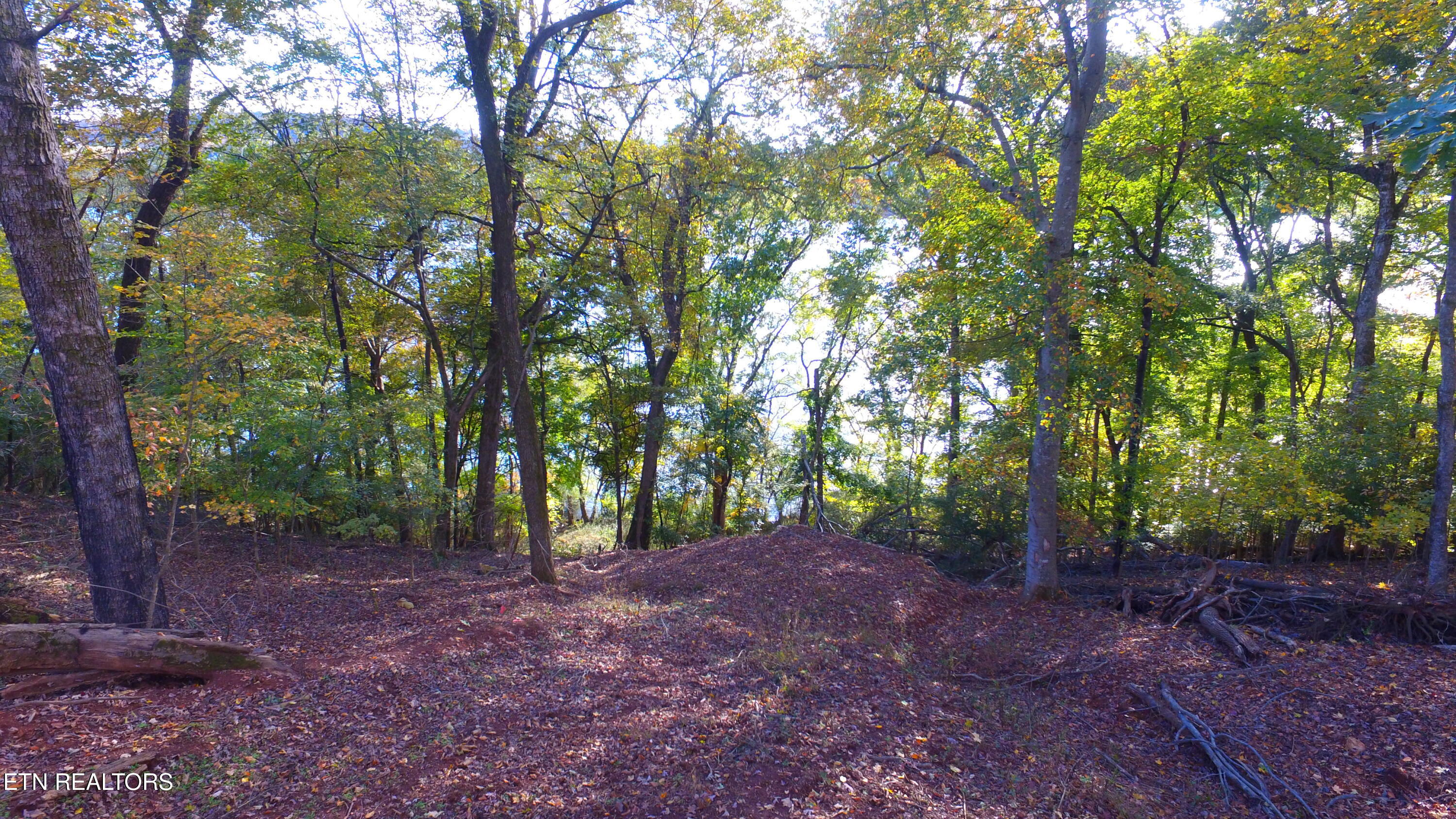 173 Cedar Grove Street Loudon TN 37774