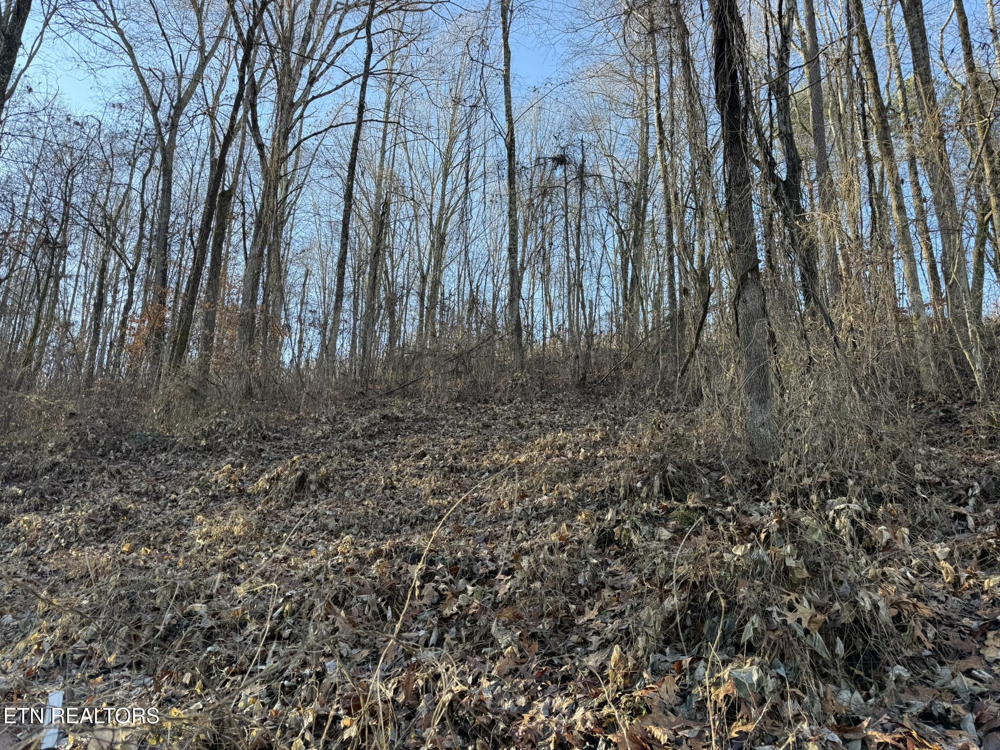 S Marlowe Lane Speedwell TN 37870