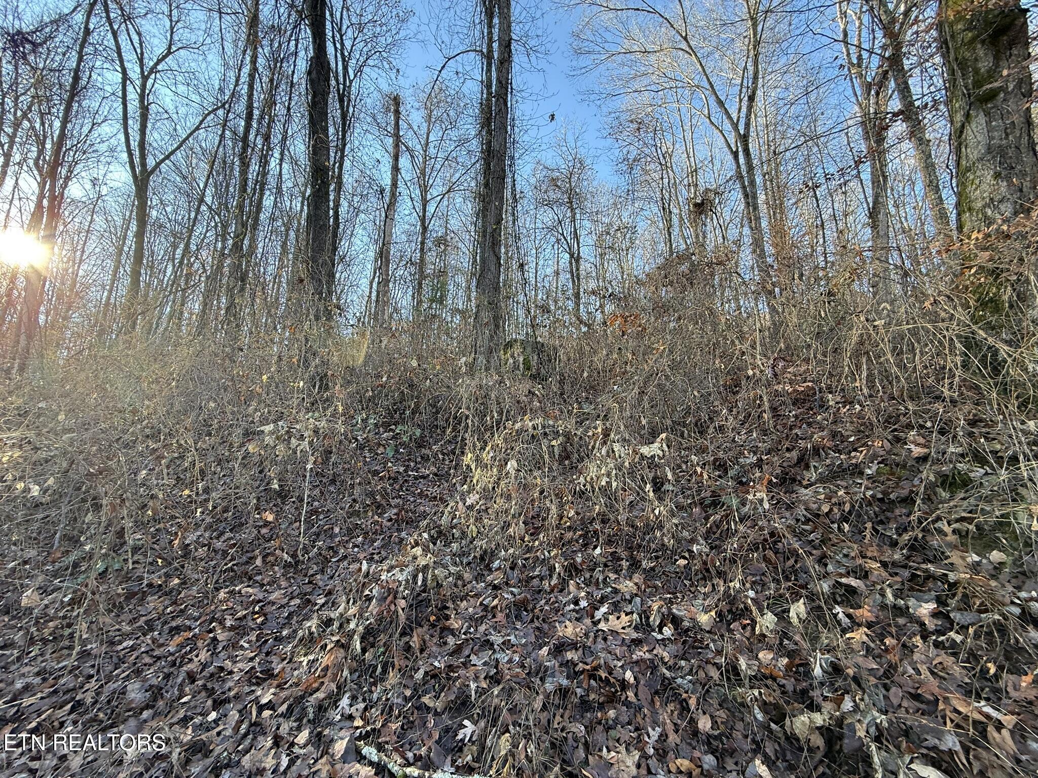 S Marlowe Lane Speedwell TN 37870