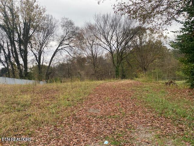 3408 Riverview Drive Knoxville TN 37914