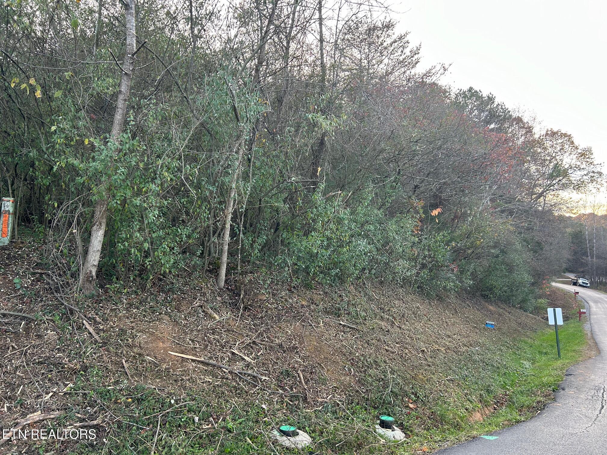 272 Ootsima Way Loudon TN 37774