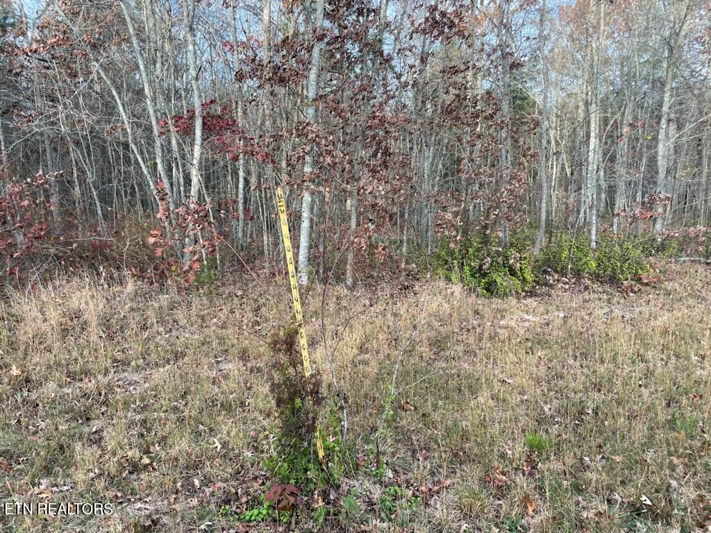 240 Perkins Trail Deer Lodge TN 37726
