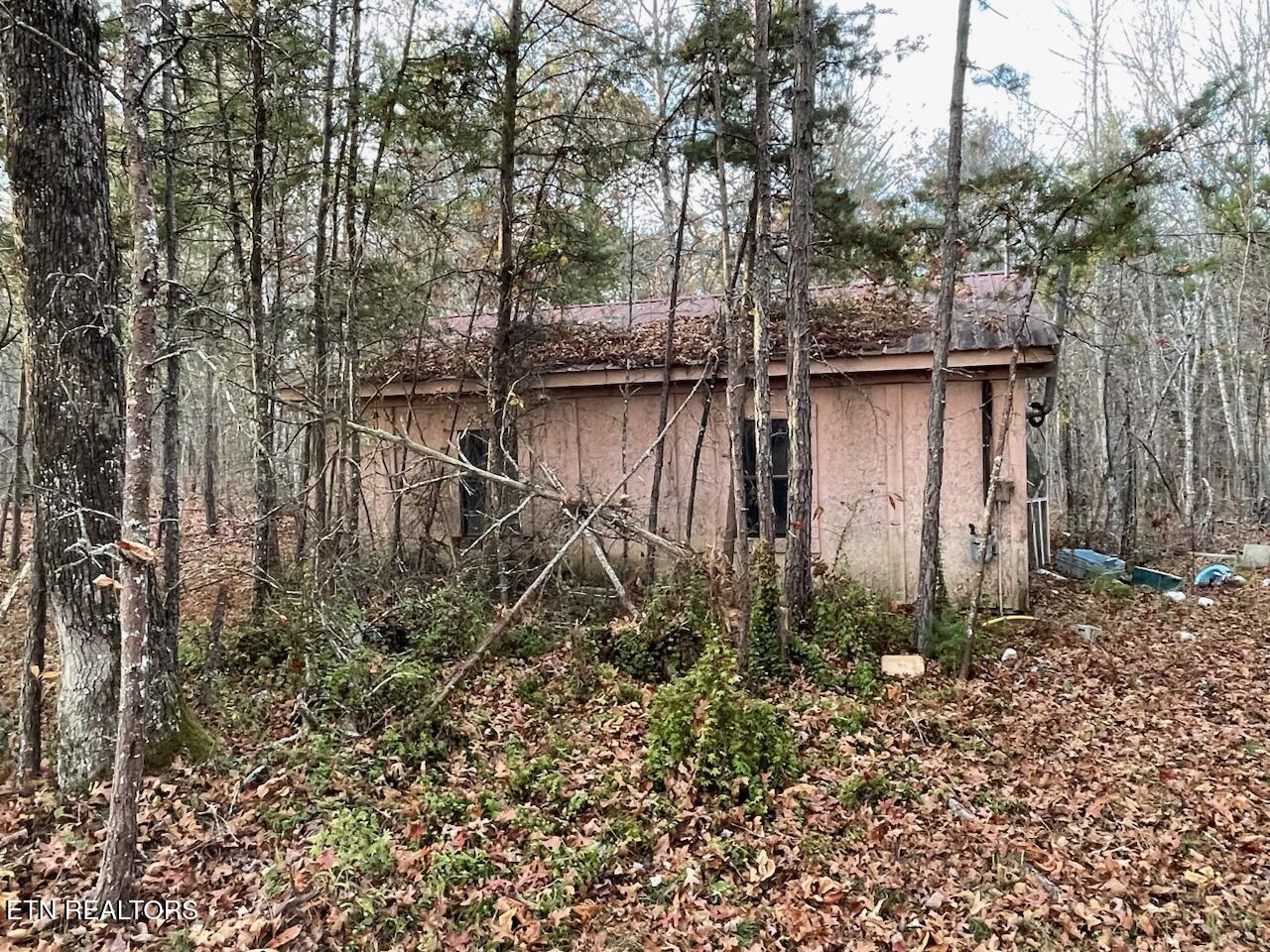 240 Perkins Trail Deer Lodge TN 37726