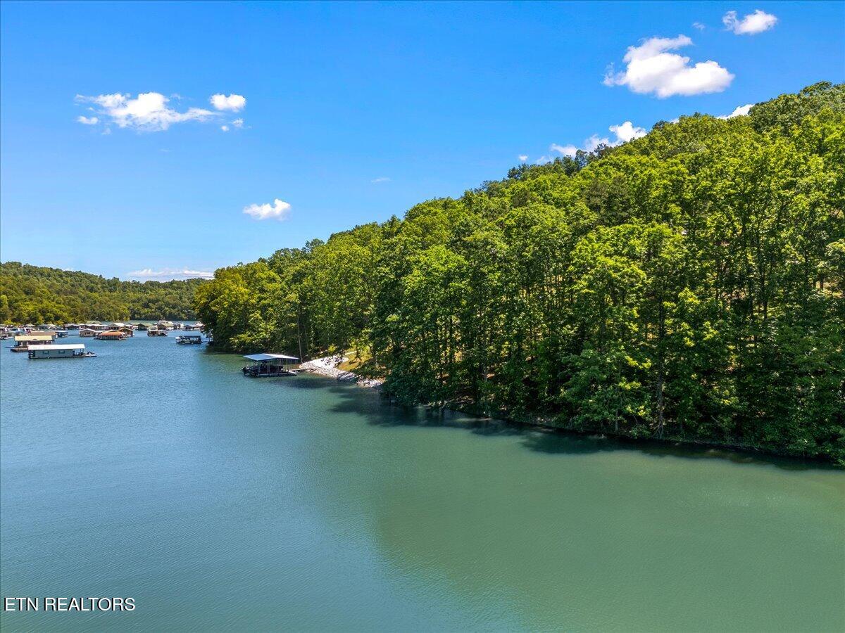 Shanghai Landing Lane Lafollette TN 37766
