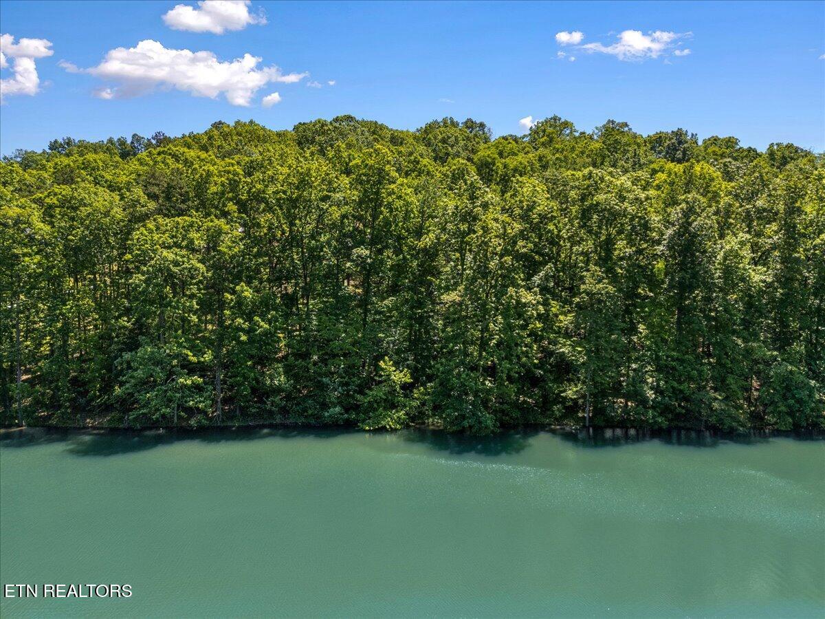 Shanghai Landing Lane Lafollette TN 37766