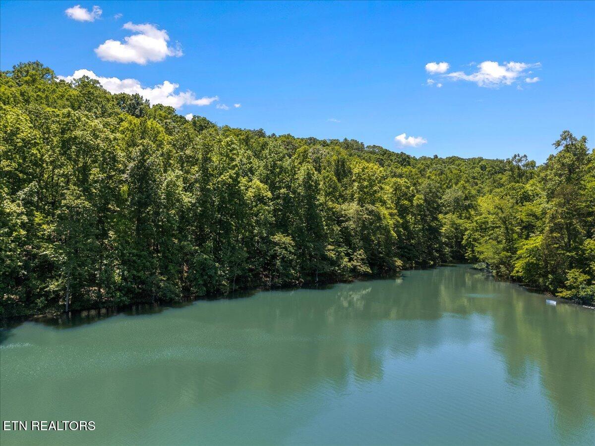 Shanghai Landing Lane Lafollette TN 37766