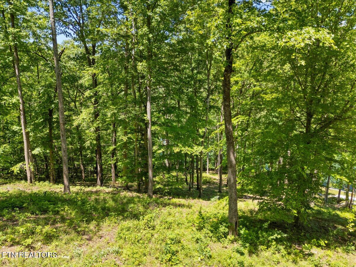 Shanghai Landing Lane Lafollette TN 37766