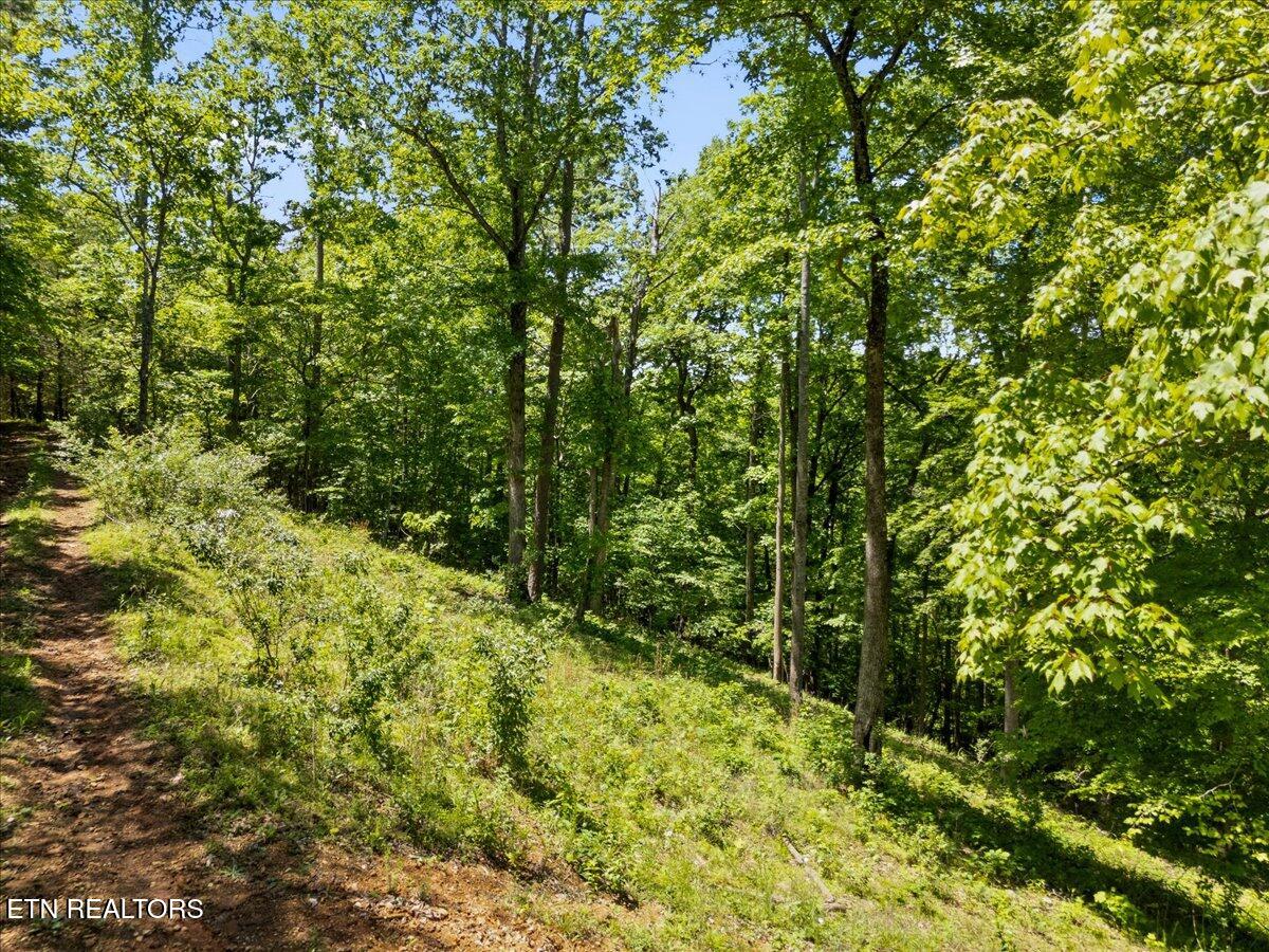 Shanghai Landing Lane Lafollette TN 37766