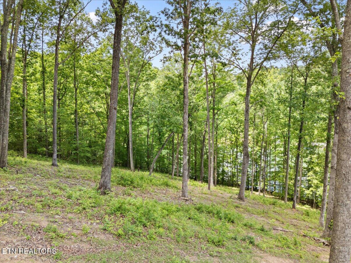 Shanghai Landing Lane Lafollette TN 37766