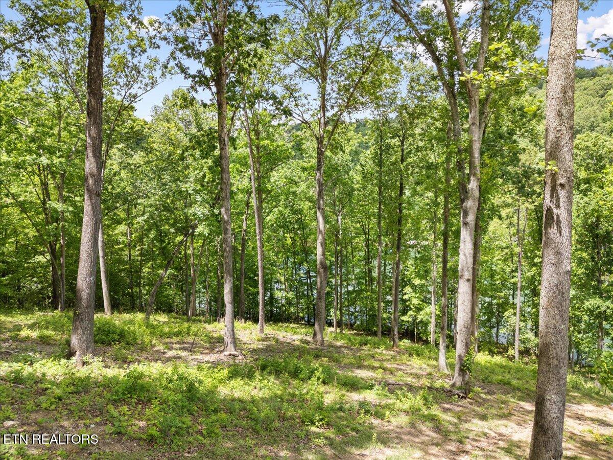 Shanghai Landing Lane Lafollette TN 37766